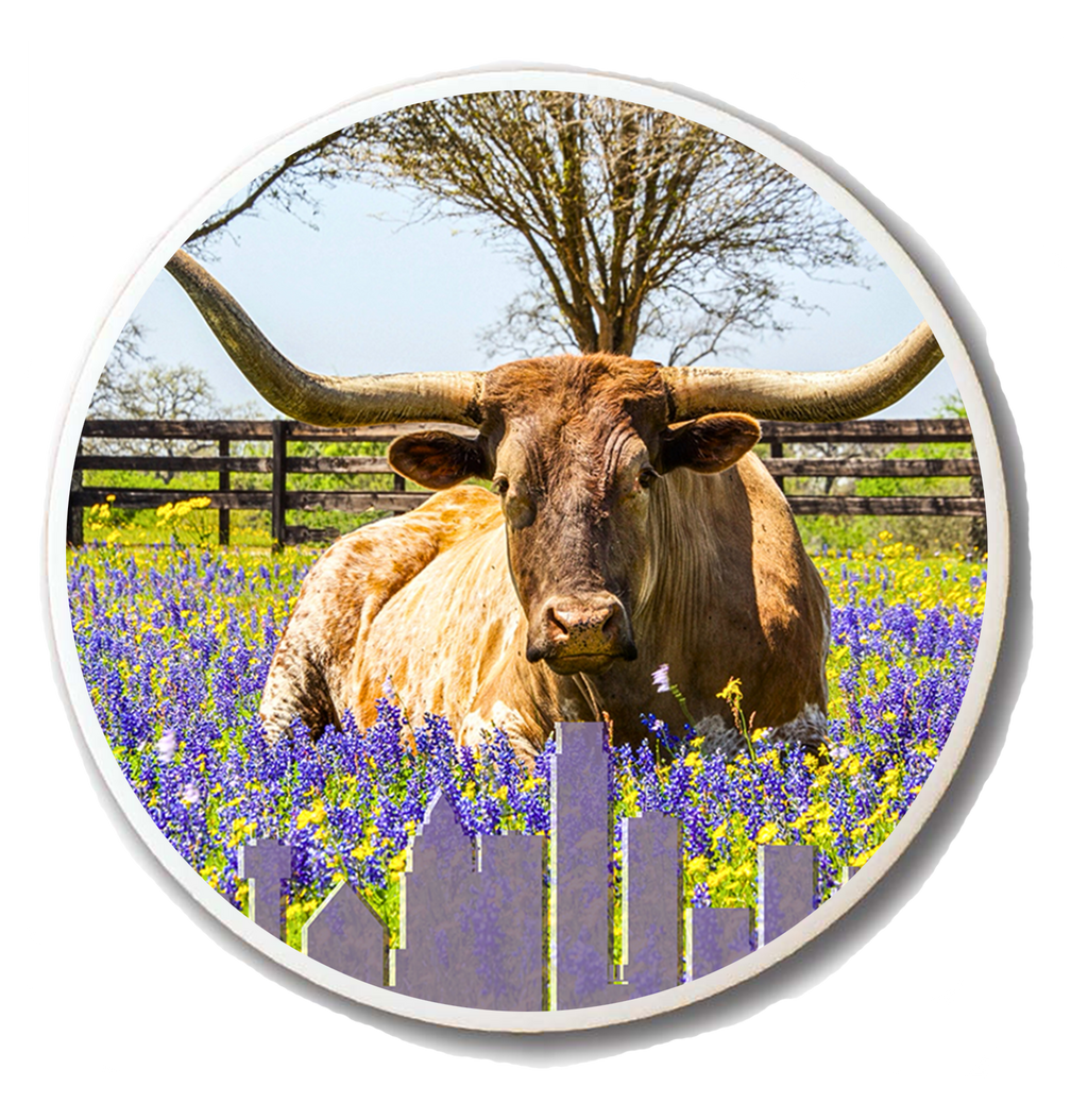 Longhorn & Bluebonnets Magnet