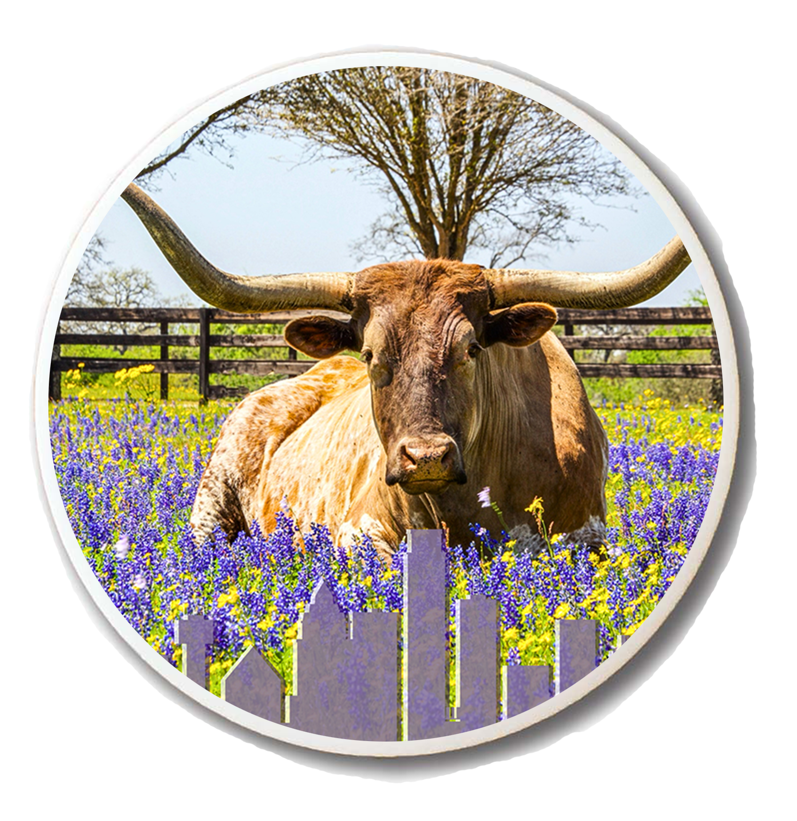 Longhorn & Bluebonnets Magnet