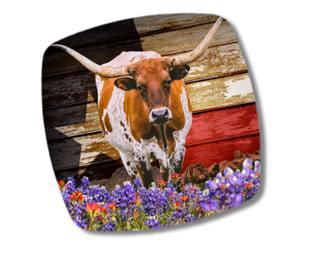 It's All Texas Magnet