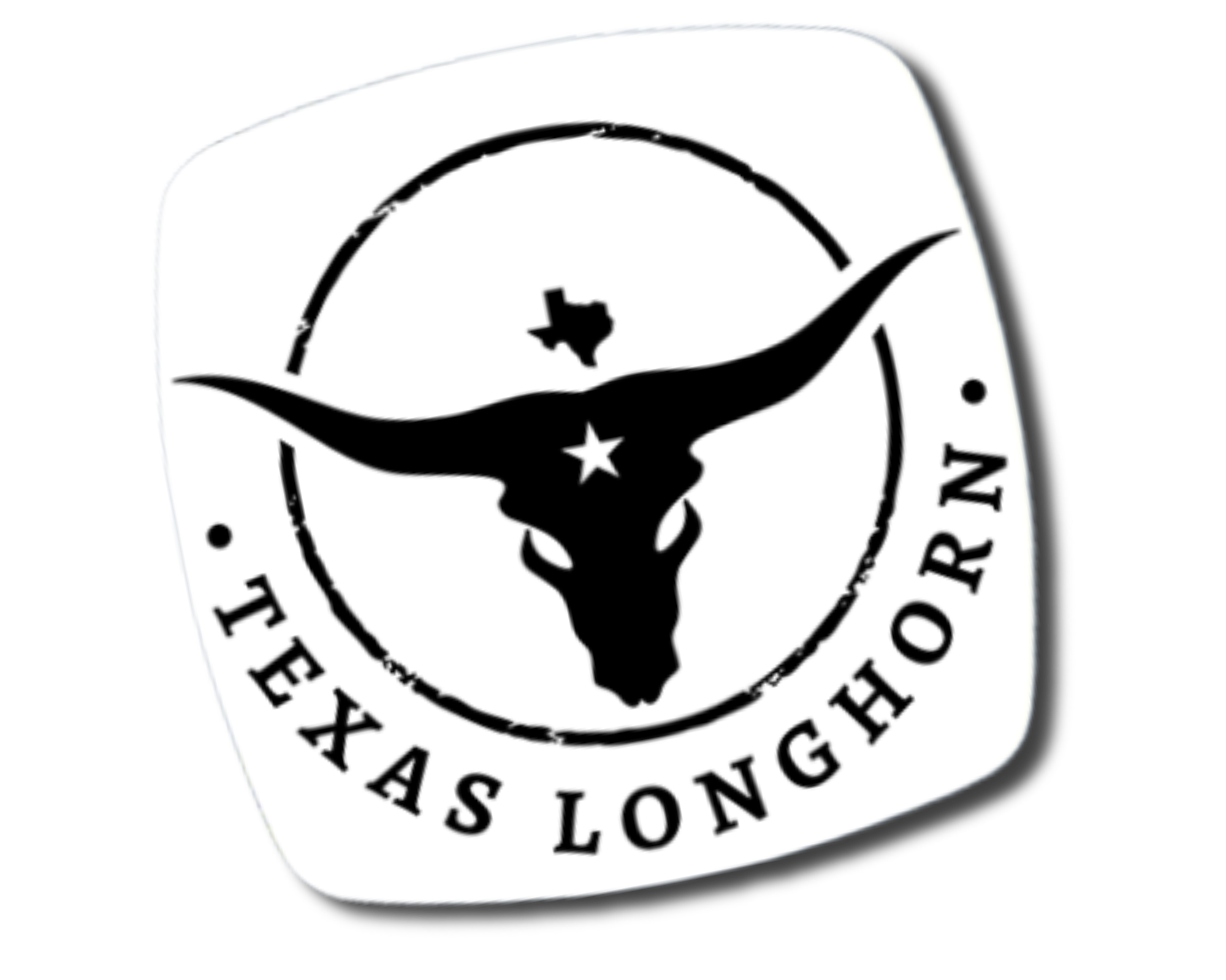Texas Longhorn Magnet