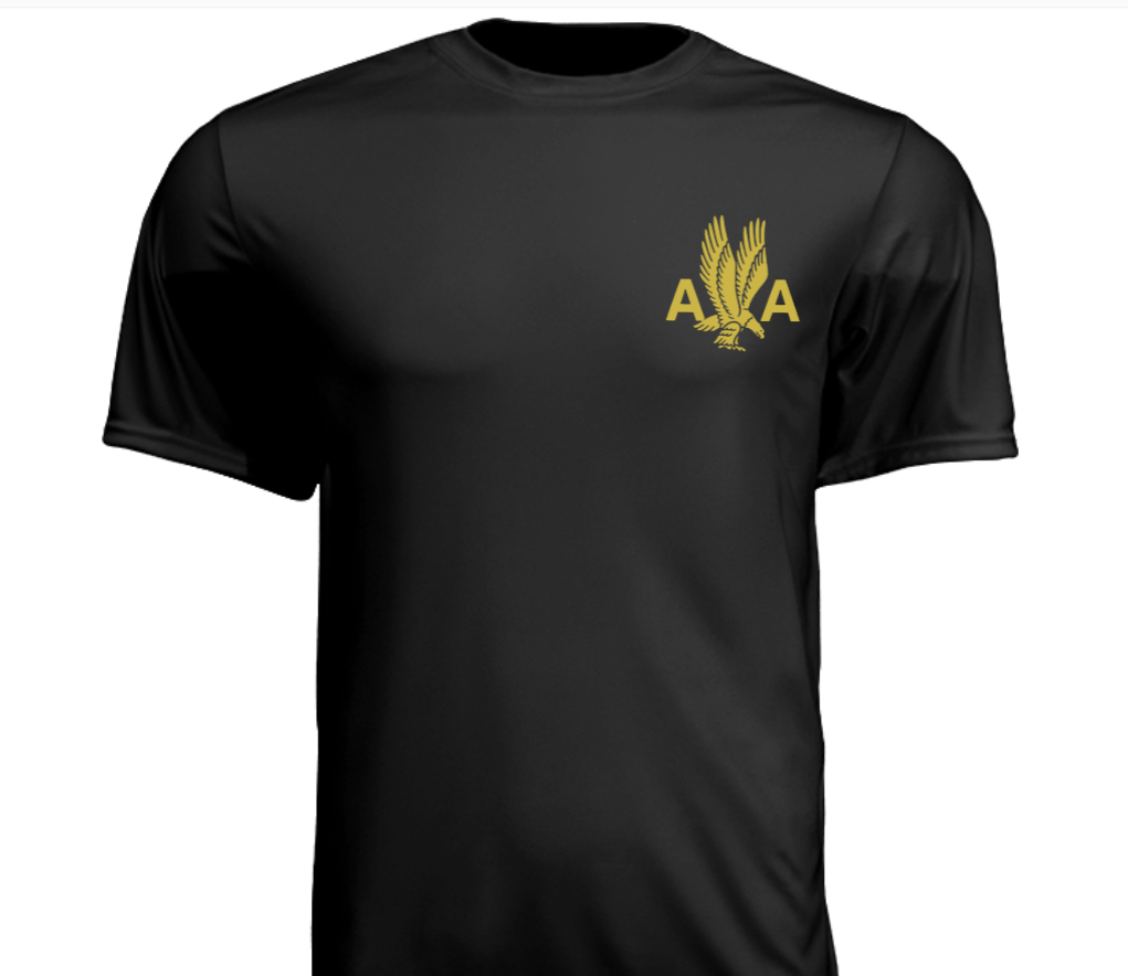 AA 1940's Gold Eagle Logo Wicking T-Shirt Short Sleeve