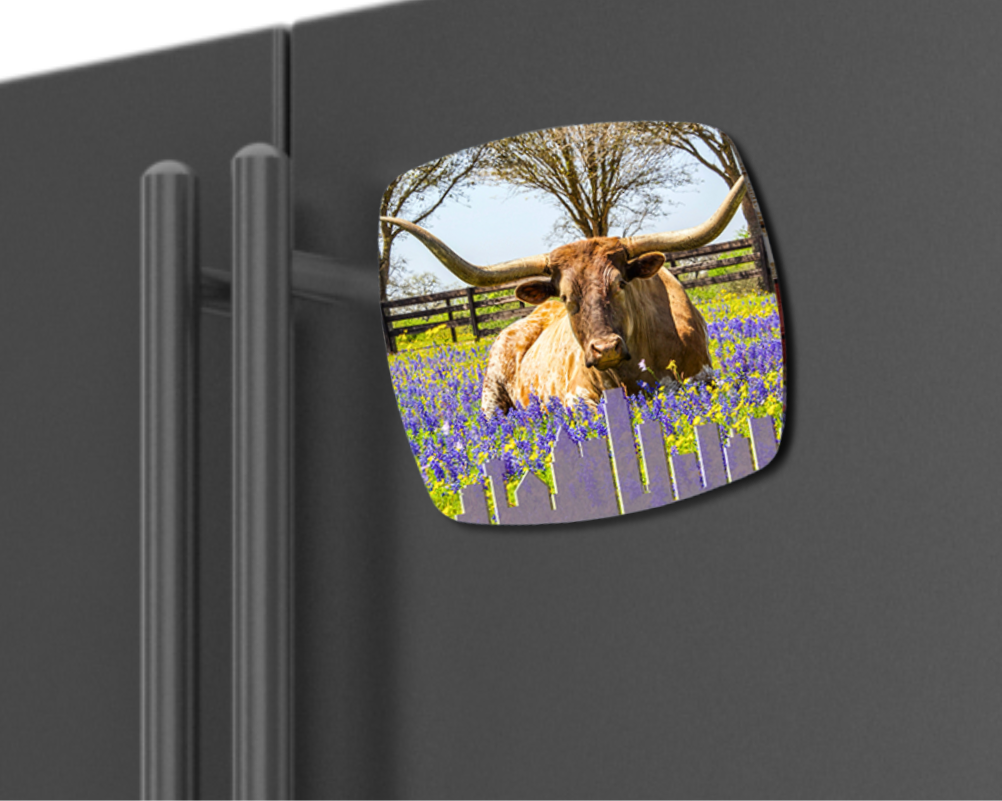 Longhorn & Bluebonnets Magnet