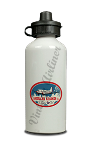 American Airlines Flagship Fleet Bag Sticker Aluminum Water Bottle