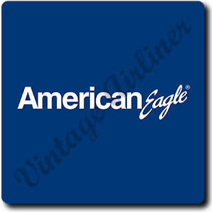 American Eagle Blue Logo Square Sandstone Coaster