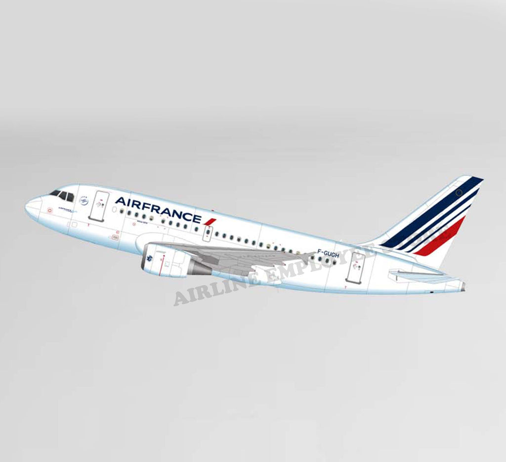 Air France Airbus A318 Livery Decal Stickers
