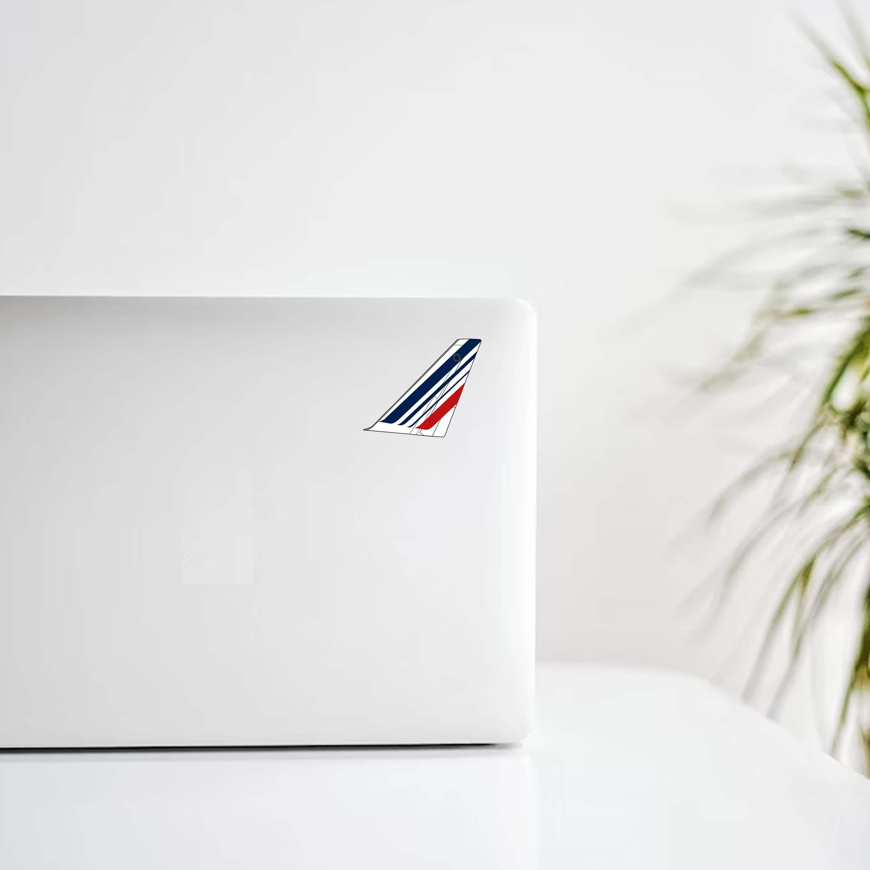 Air France Airbus Livery Tail Decal Stickers