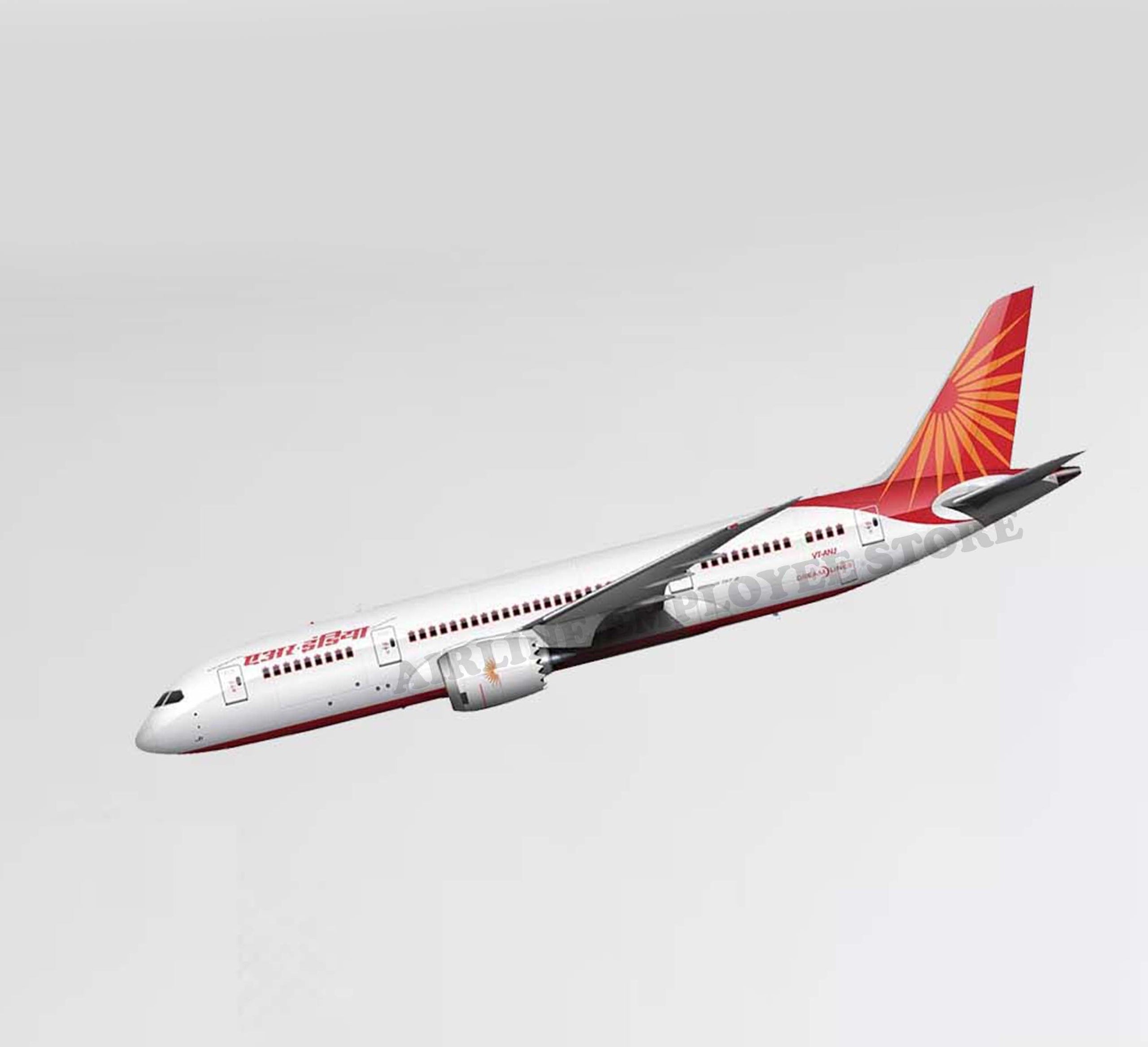 Air India Dreamliner Livery Decal Stickers