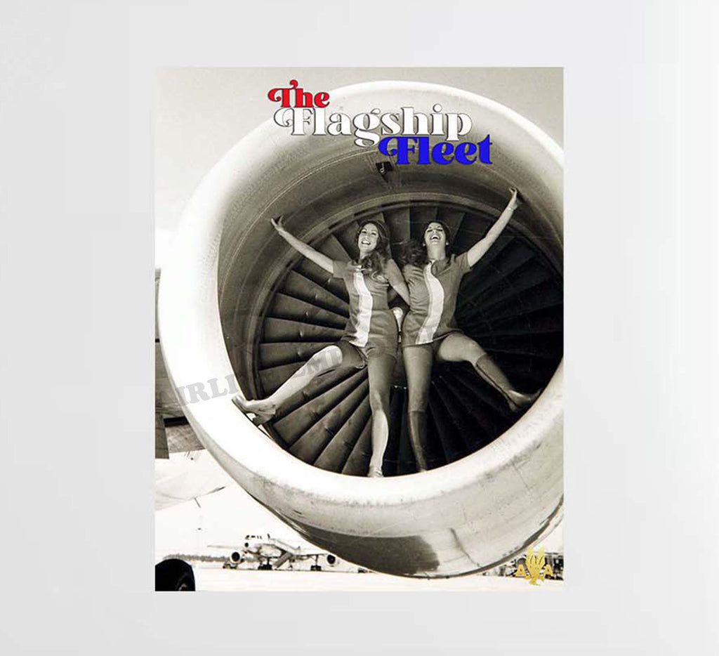 American Airlines The Flagship Fleet Decal Stickers