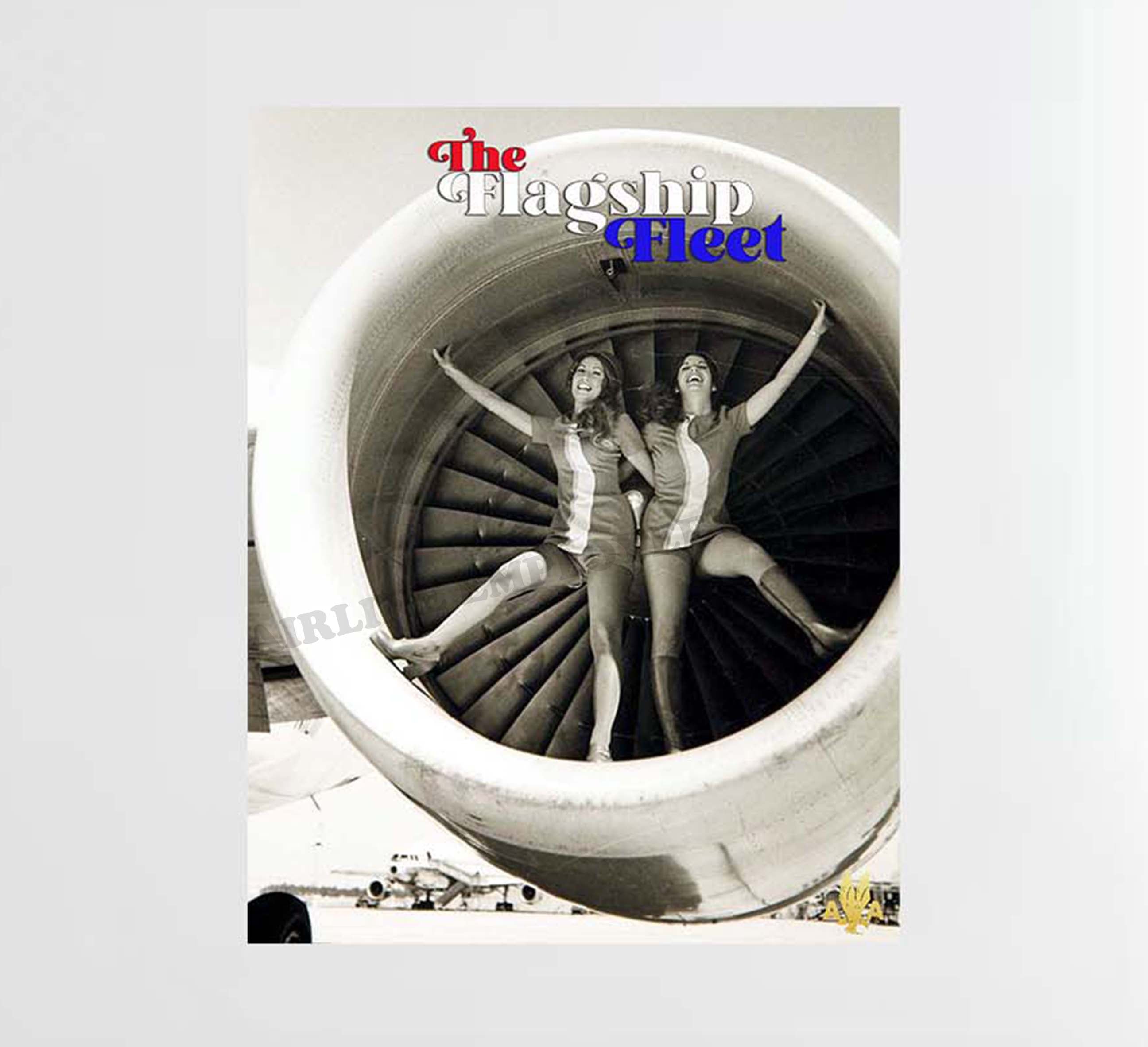 American Airlines The Flagship Fleet Decal Stickers