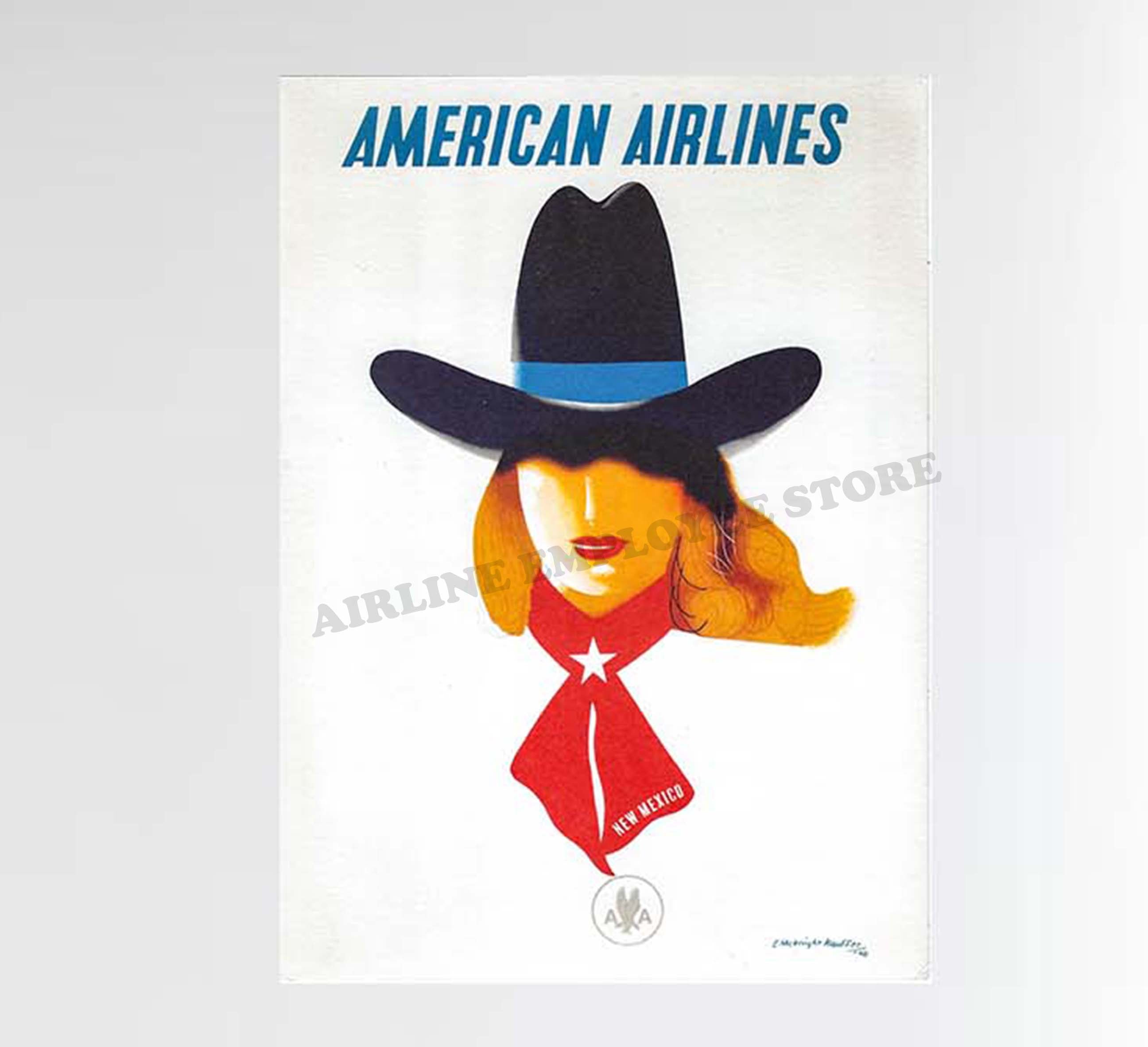 American Airlines New Mexico Poster Design Decal Stickers