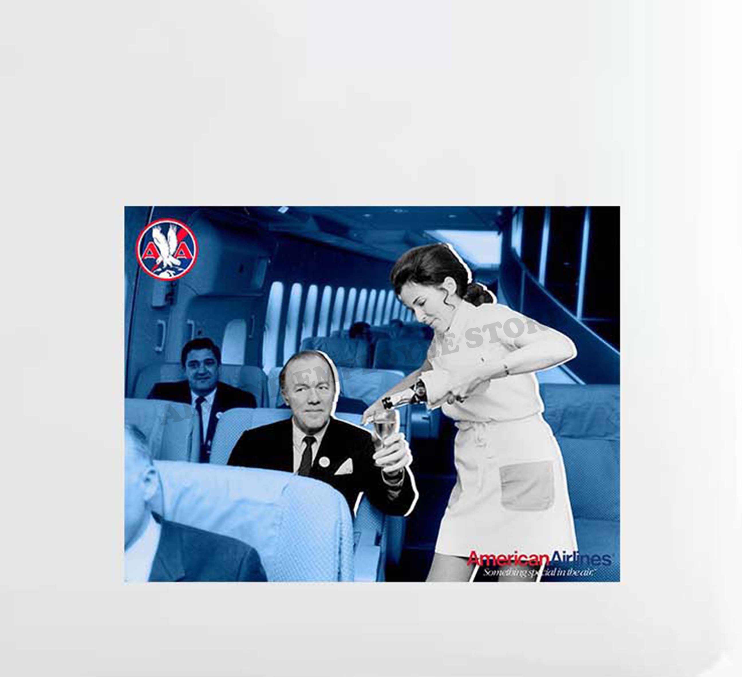 American Airlines Flight Attendant Vintage Decal Stickers