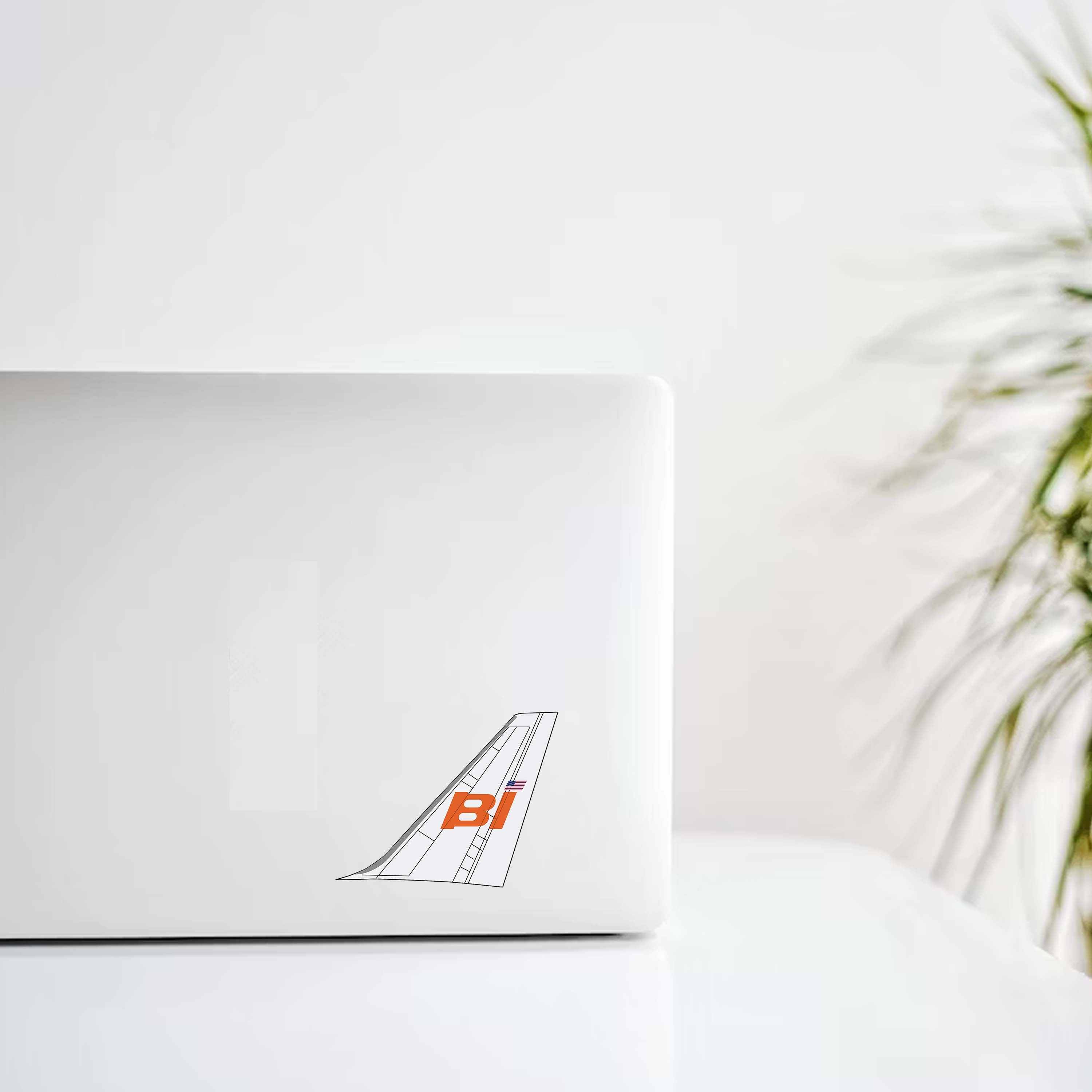 Braniff Airlines Tail Decal Stickers