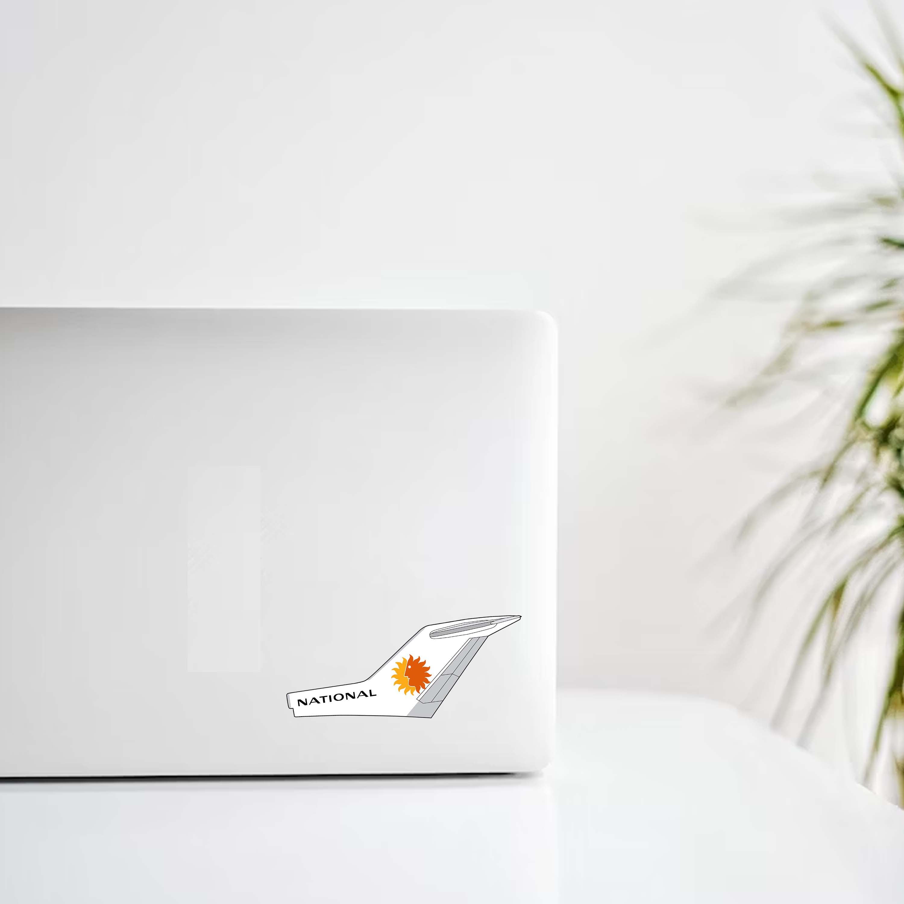 National Airlines Tail Decal Stickers