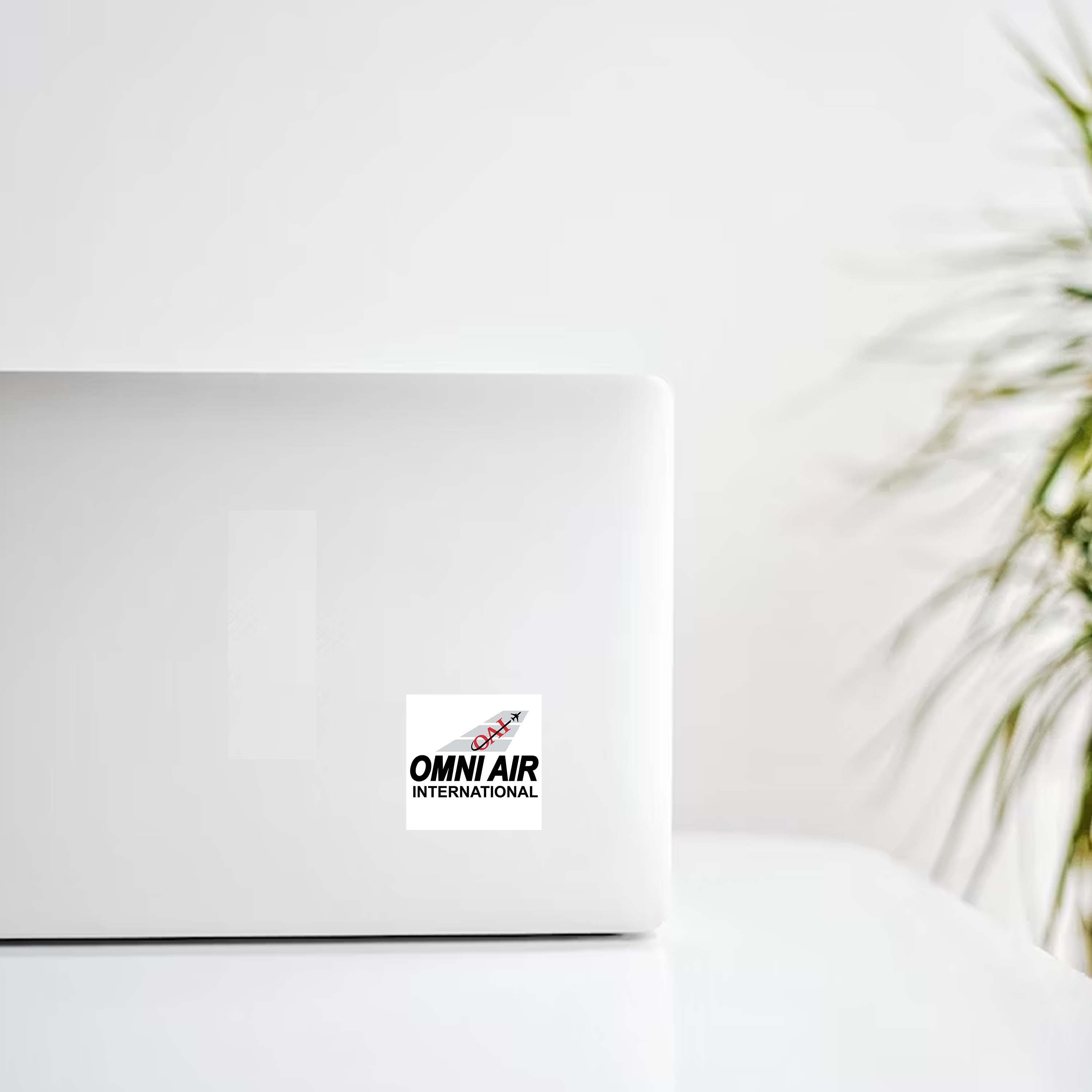 Omni Air International Livery Tail Design Decal Stickers