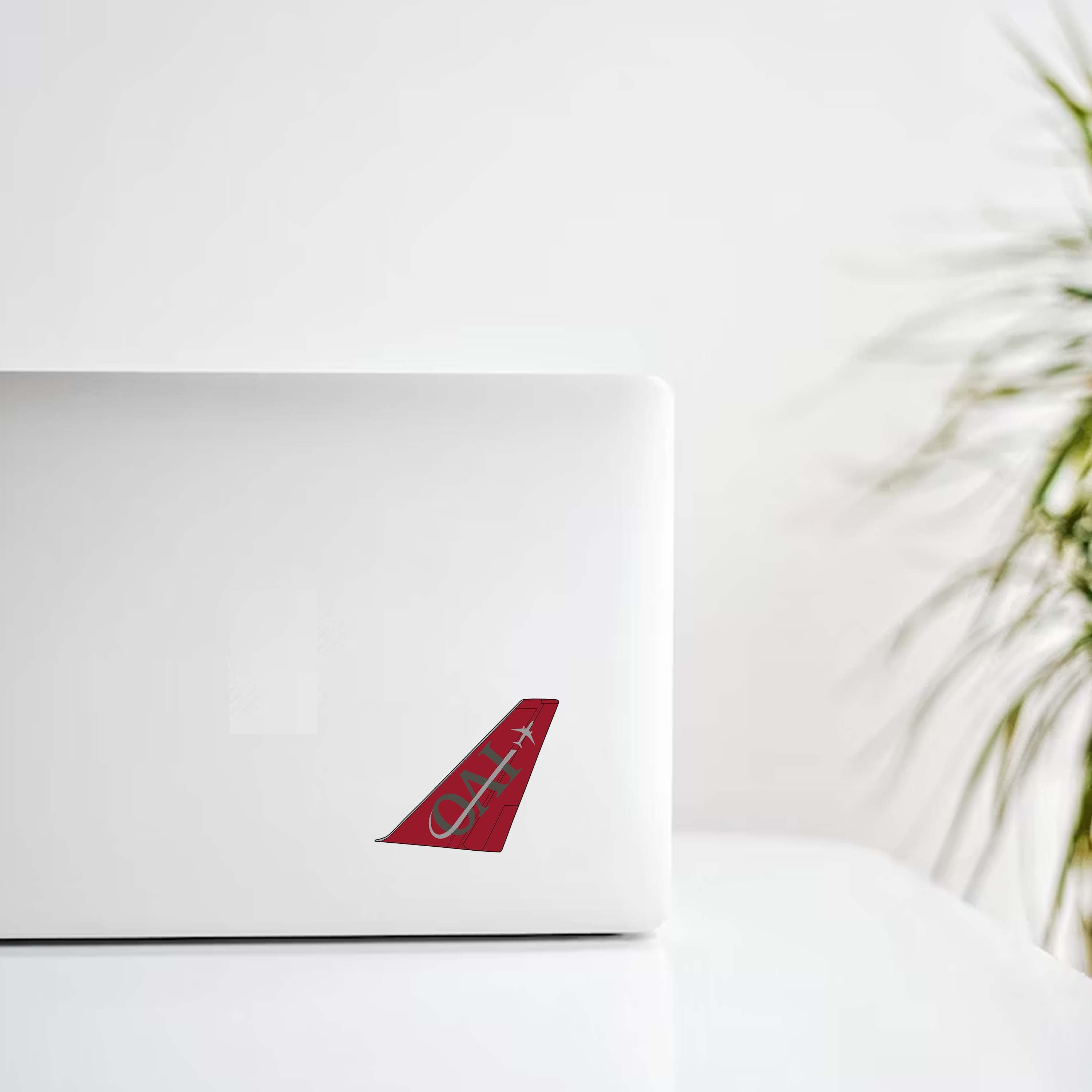 Omni Air International 767-200 Livery Tail Decal Stickers