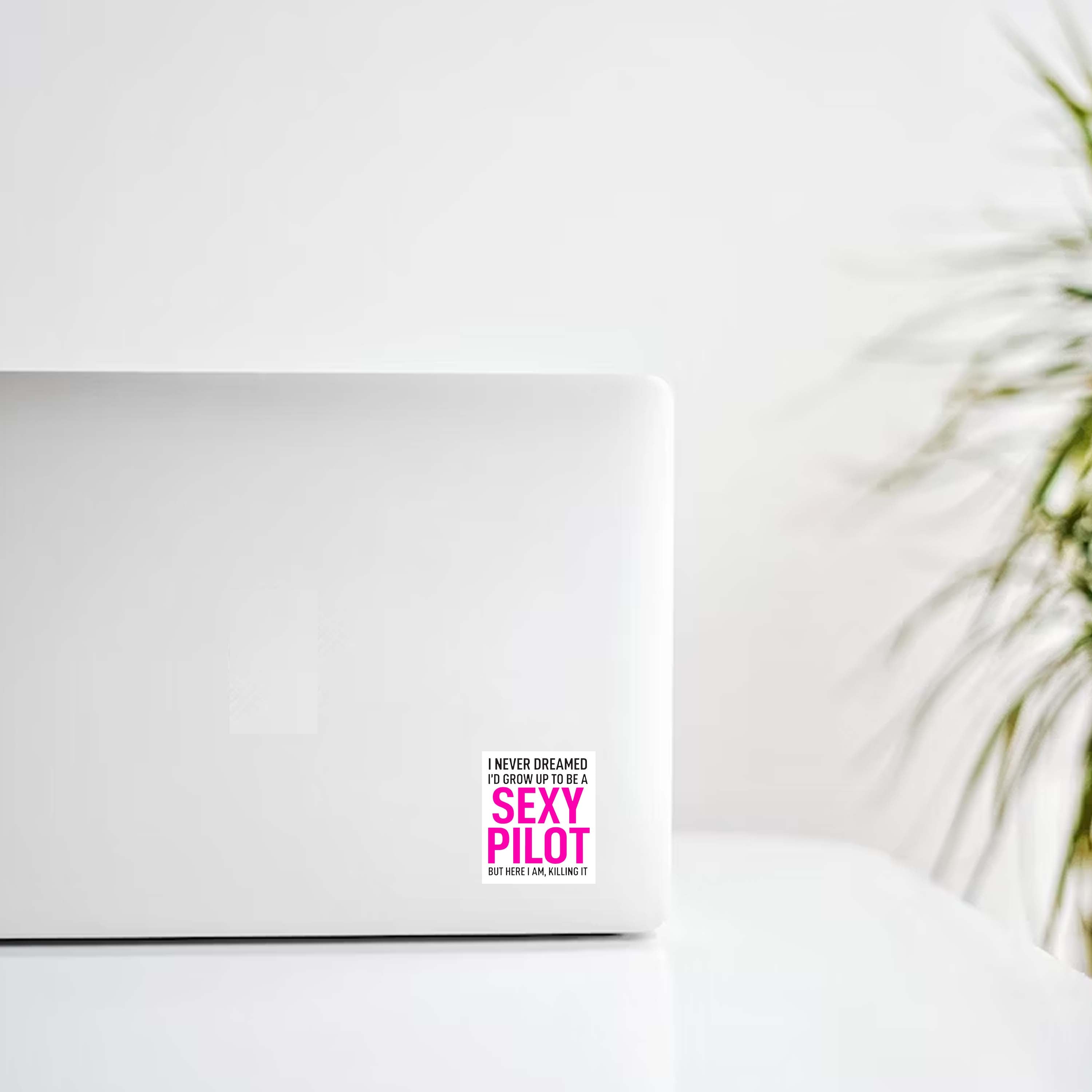 Sexy Pilot Decal Stickers