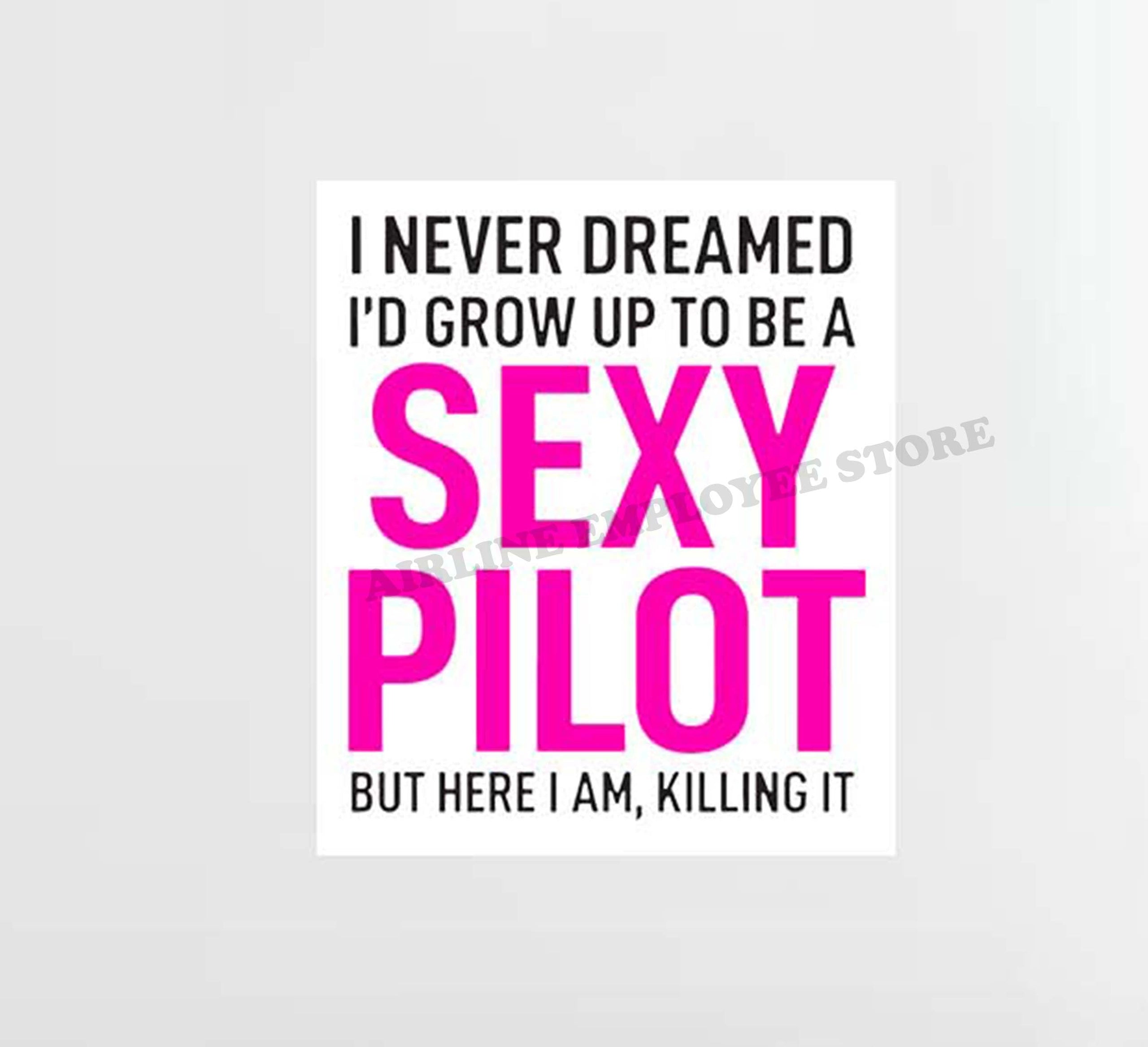Sexy Pilot Decal Stickers