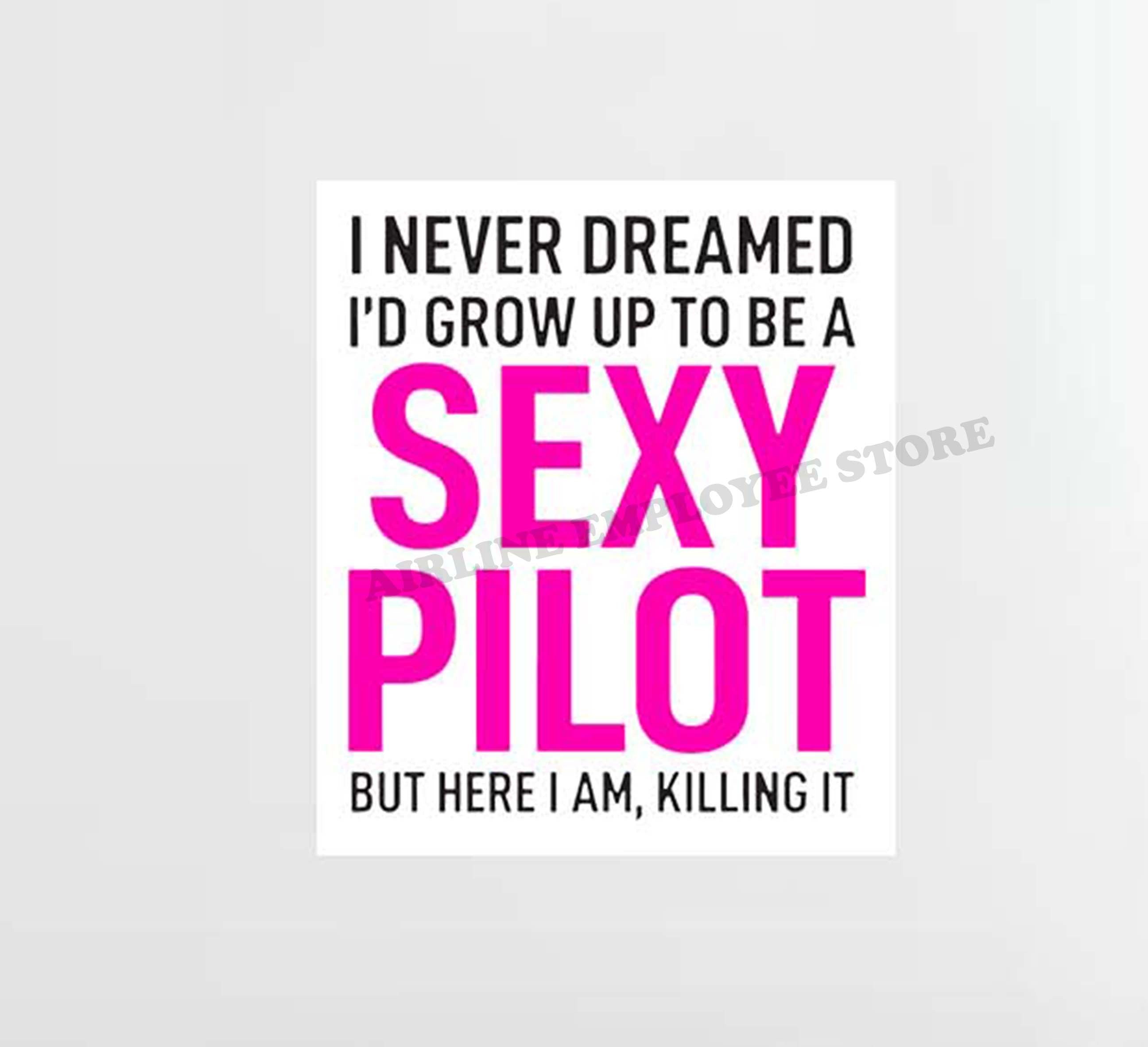 Sexy Pilot Decal Stickers
