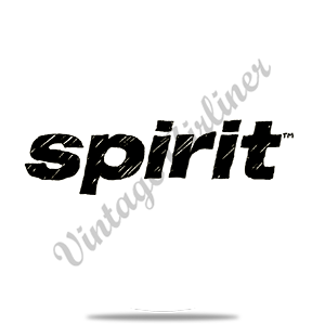 Spirit Airlines Logo Round Sandstone Coaster