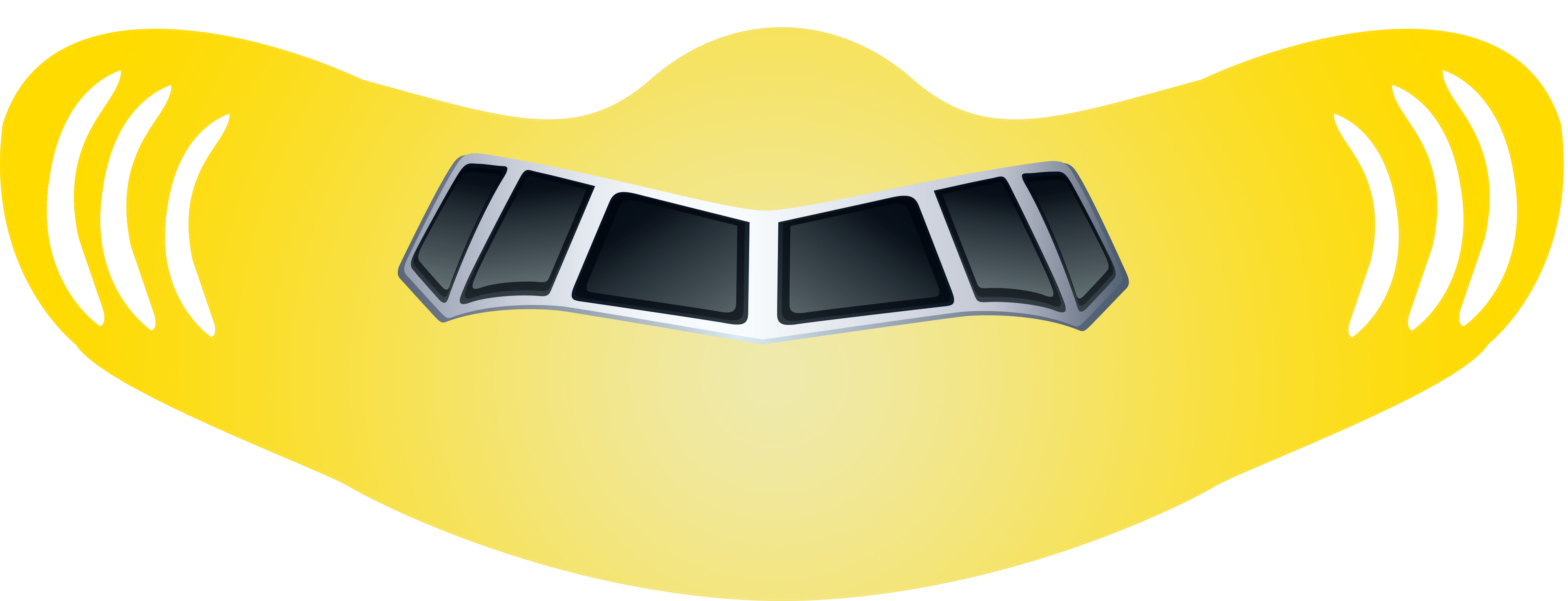 Spirit Airplane Face Mask