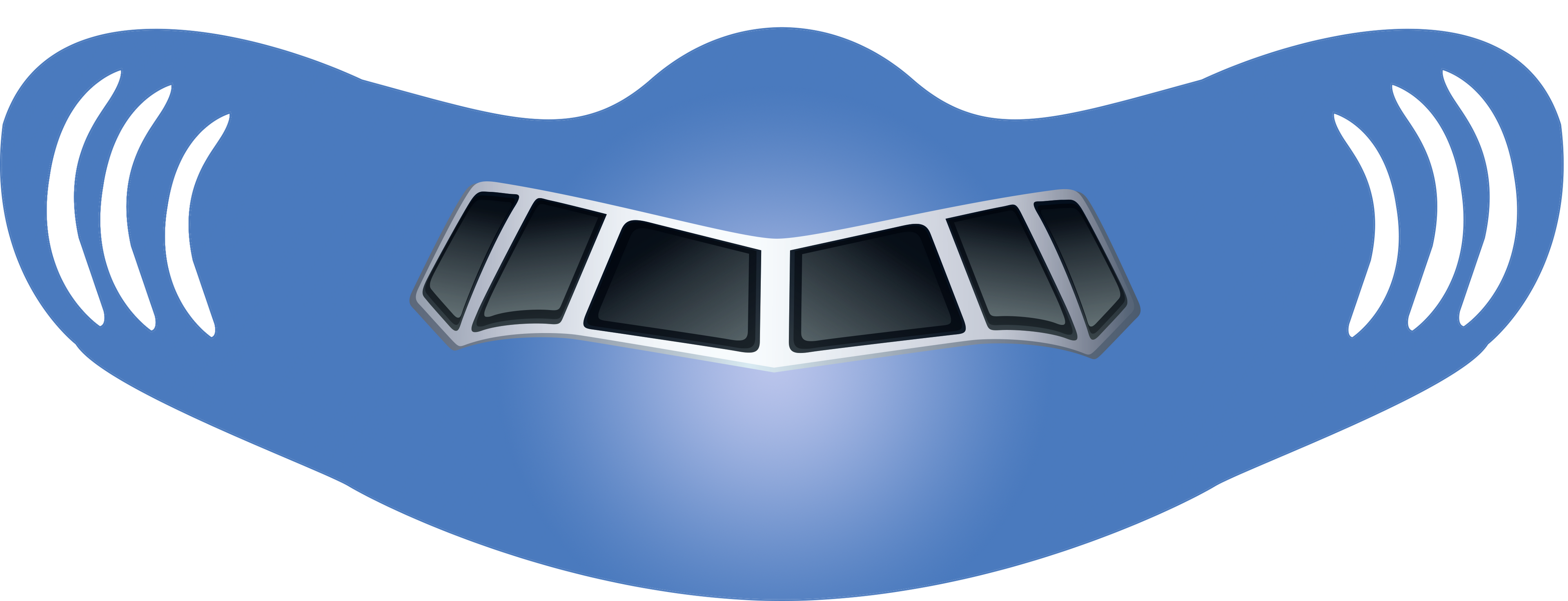 Southwest Airplane Face Mask